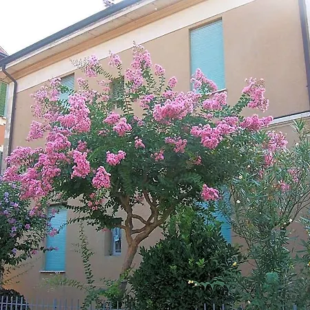 Accorsi Hotell Bologna
