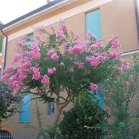 Hotel Accorsi 3*